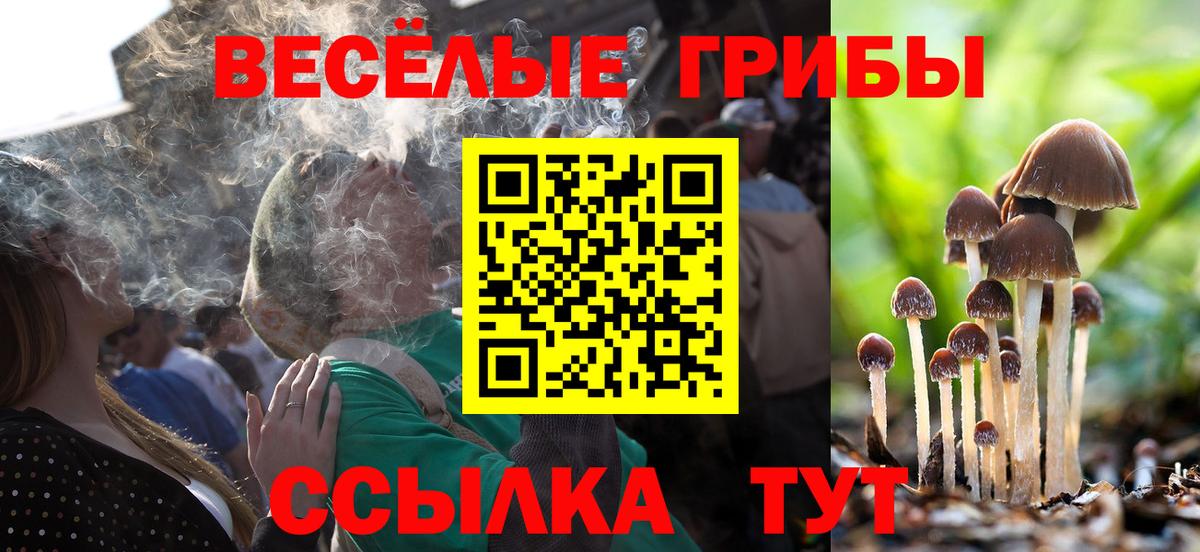 Псилоцибиновые грибы ЛСД  Вход с VPN  Балашов  Псилоцибиновые грибы GOLDEN TEACHER 